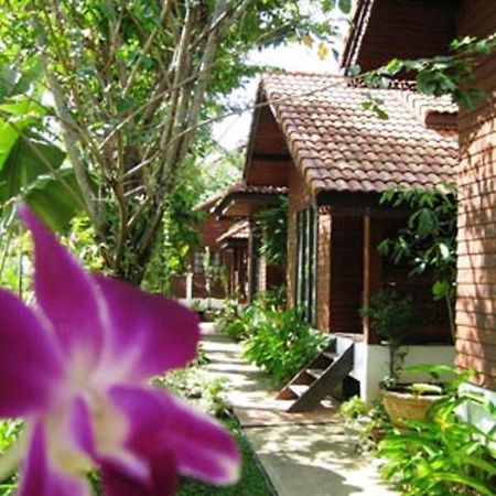 Phu Aroon Guesthouse Sukhothai Quarto foto